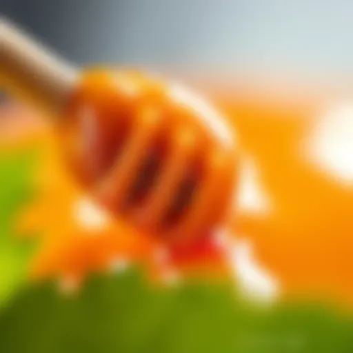 Close-up of Manuka honey with healing properties