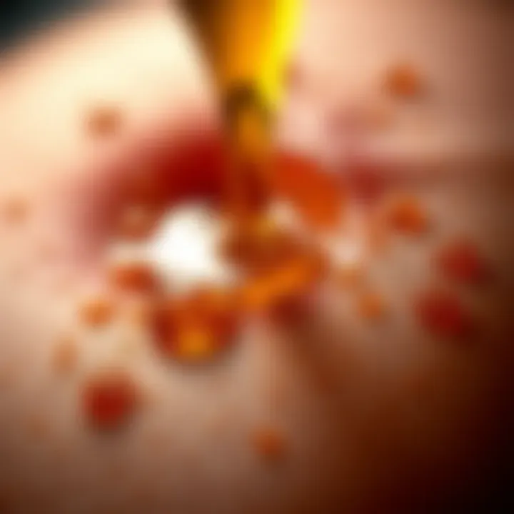 Illustration of wound healing with Manuka honey application