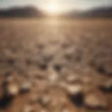 A barren landscape showcasing the impacts of drought