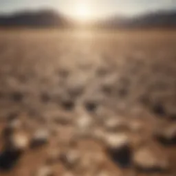 A barren landscape showcasing the impacts of drought