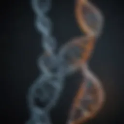 Visual representation of DNA double helix structure